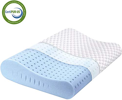 Milemont Memory Foam Pillow