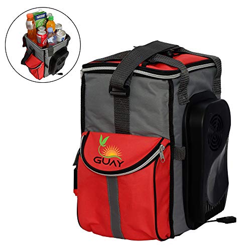 Guay Insulated Thermal Bag Cooler and Warmer