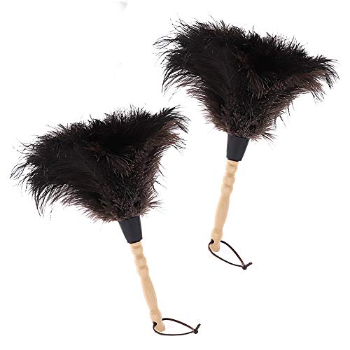 10 Best Ostrich Feather Dusters