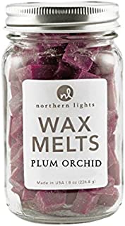 Plum Orchid Mason Jar Wax Melts, 8 oz by Northern Lights