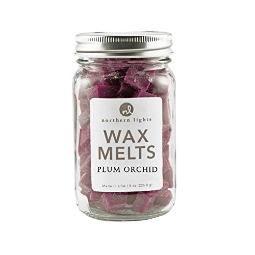 Plum Orchid Mason Jar Wax Melts, 8 oz by Northern Lights