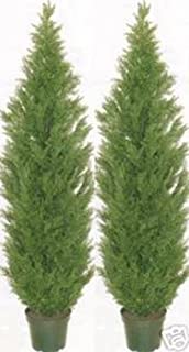 Two 5 Foot Artificial Topiary Cedar Trees Potted Indoor Outdoor Plants