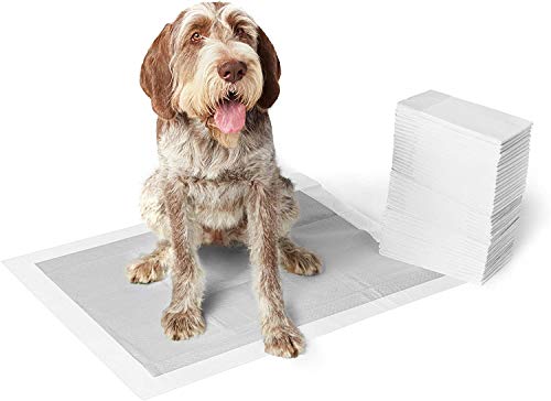 Amazon Basics Odor-Control Carbon Pet Dog and Puppy Training Pads - Pack of 50, X-Large (28 x 34 Inches)