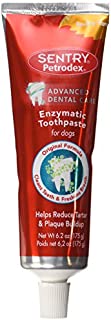 Petrodex Enzymatic Toothpaste for Dogs, Helps Reduce Tartar and Plaque Buildup, Poultry Flavor