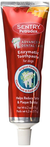 10 Best Dog Toothpaste For Small Dogs