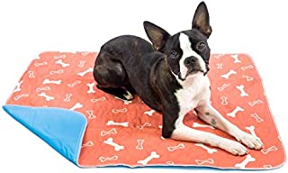 Washable & Reusable Pee Pads for Dogs - Puppy Training - (2-Pack) XLarge - for Housebreaking, Incontinence, Odor Control, Whelping & Travel - Fast Absorbing & Waterproof!