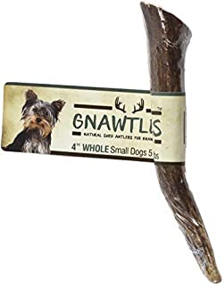 Gnawtlers - Premium Elk Antlers For Dogs, Naturally Shed Elk Antlers, USA Natural Elk Antler Chews, Specially Selected Elks Antlers From The Rocky Mountain & Heartland Regions - 4