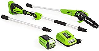 Greenworks PS40B210 8-Inch 40V Cordless Pole Saw, 2Ah Battery