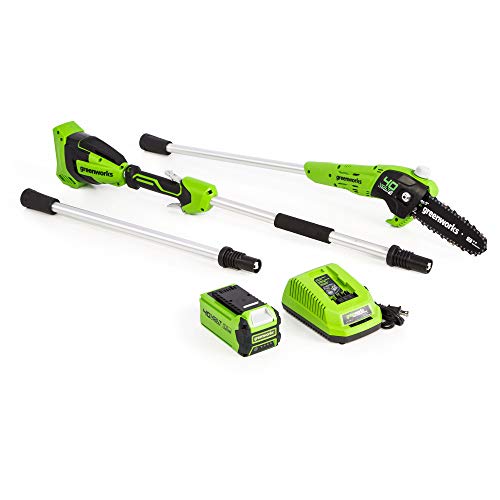 Greenworks PS40B210 8-Inch 40V Cordless Pole Saw, 2Ah Battery