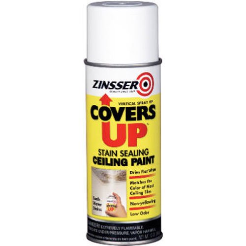 Zinnser 03688 Covers Up Stain