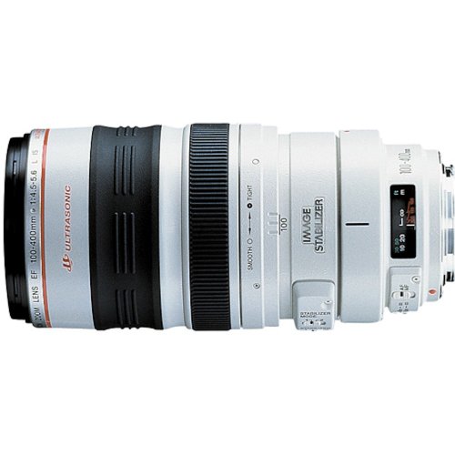 10 Best Telephoto Lens For Canon Wildlife