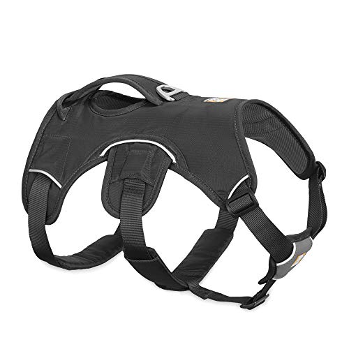 RUFFWEAR - Web Master