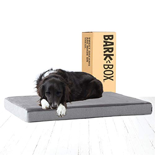 BarkBox Memory Foam Platform Dog Bed