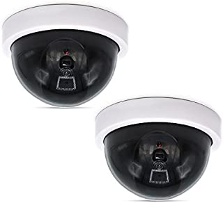 WALI Dummy Fake Security CCTV Dome Camera with Flashing Red LED Light (SDW-2), 2 Packs, White