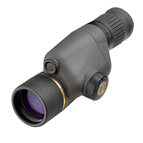 Leupold GR 10-20x40mm Gold Ring