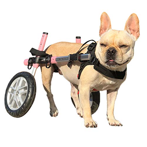 10 Best Dog Wheelchair For Corgi