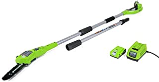 Greenworks 8.3' 24V Cordless Pole Saw, 2.0 AH Battery Included 20352