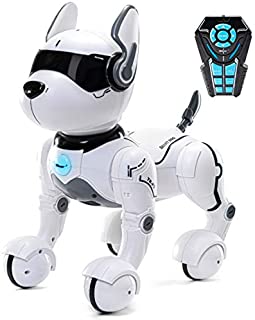 Remote Control Robot Dog Toy, Robots for kids