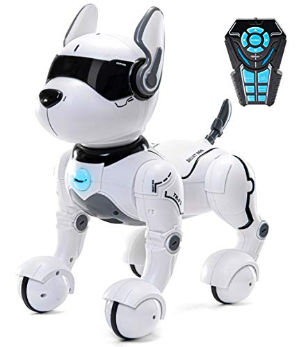 Remote Control Robot Dog Toy, Robots for kids