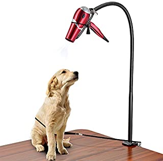 LuckIn Hands-free Dryer Holder Arm, Table Clamp On Stand for Hair Styling, Dog Grooming with No-Sit Haunch Holder