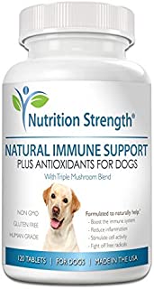 Nutrition Strength Immune Support for Dogs Plus Antioxidant, Reishi, Shiitake, Maitake, Turkey Tail Mushrooms for Dogs, with Coenzyme Q10, Nutritional Support for Cancer in Dogs, 120 Chewable Tablets