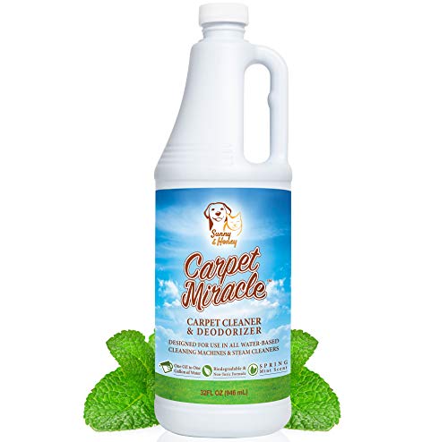 Carpet Miracle - Concentrated Machine Shampoo, Deep Stain and Odor Remover Solution, Deodorizing Formula (32FL OZ)