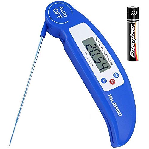 7 Best Meat Thermometers On Sale
