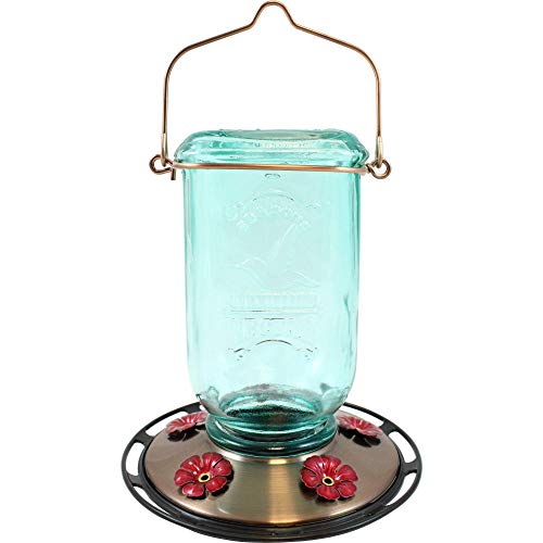 More Birds Mason Jar Hummingbird Feeder, Glass Bottle, 5 Feeding Ports and 25-Ounce Nectar Capacity