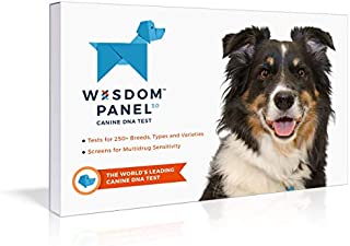 Mars Veterinary Wisdom Panel Dog DNA Test Kit