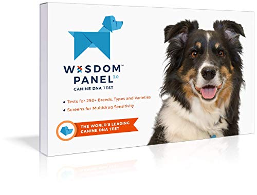 Mars Veterinary Wisdom Panel Dog DNA Test Kit