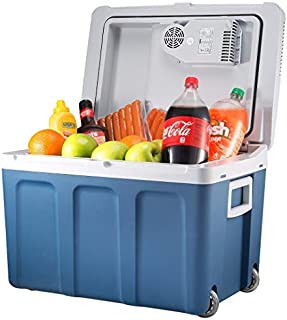 Knox Electric Cooler and Warmer