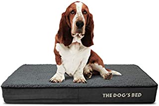 The Dogs Bed Orthopedic Dog Bed Medium Grey Plush 34x22, Premium Memory Foam, Pain Relief: Arthritis, Hip & Elbow Dysplasia, Post Surgery, Lameness, Supportive, Calming, Waterproof Washable Cover