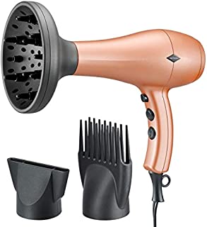 NITION Negative Ions Ceramic Hair Dryer with Diffuser Attachment Ionic Blow Dryer Quick Drying,1875 Watt 2 Speed / 3 Heat Settings,Cool Shot Button,Lightweight,Champagne Gold