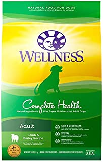 Wellness Complete Health Natural Dry Dog Food, Lamb & Barley, 30-Pound Bag