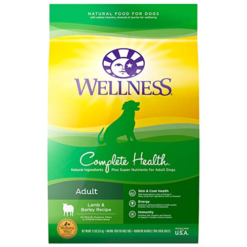 10 Best Grain Free Dog Food Fda