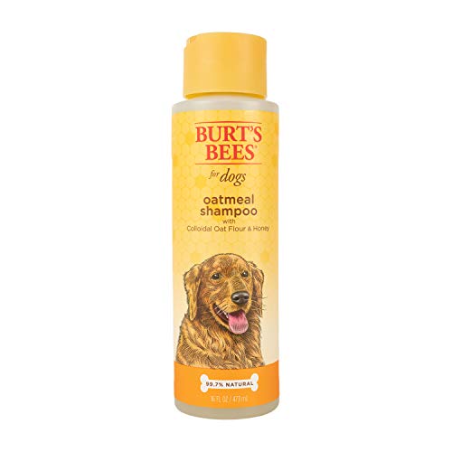 Burt's Bees Natural Shampoo for Dogs, Made with Colloidal Oat Flour and Honey, 16 Oz