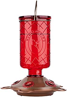 BOLITE 18005 Hummingbird Feeder, Glass Hummingbird Feeders, 5 Feeding Stations, 22 Ounces, Red Bottle