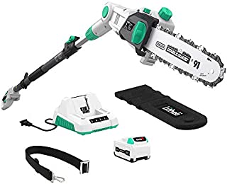 LitheLi 40V Cordless Pole Saw 10 inches with 2.5AH Battery and Charger