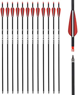 28 inch Carbon Arrow Hunting Arrows, TY Archery