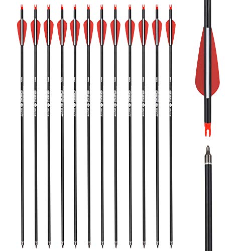 28 inch Carbon Arrow Hunting Arrows, TY Archery