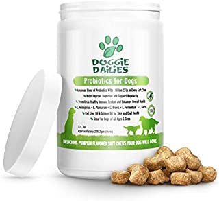 Doggie Dailies Probiotics for Dogs, 225 Soft Chews, Advanced Dog Probiotics with Prebiotics, Promotes Digestive Health, Supports Immune System and Overall Health (Pumpkin)