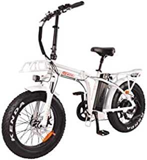 DJ Folding Bike 750W 48V 13Ah Bicycle, Pearl White