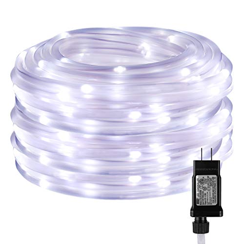 LE LED Rope Light with Timer, Low Voltage, 8 Mode, Waterproof, Daylight White, 33ft 100 LED, Indoor Outdoor Plug in Light Rope and String for Deck, Patio, Bedroom, Boat, Landscape Lighting and More