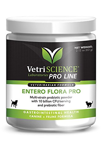 VetriScience Entero Flora Pro Powder - Multi-Strain Probiotic Supplement for Cats and Dogs - 60 Grams