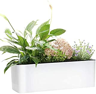 Elongated Self Watering Planter Pots Window Box 5.5 x 16 inch with Coconut Coir Soil Indoor Home Garden Modern Decorative Planter Pot for All House Plants Flowers Herbs 1, White 5.5