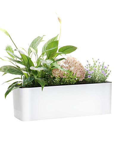 Elongated Self Watering Planter Pots Window Box 5.5 x 16 inch with Coconut Coir Soil Indoor Home Garden Modern Decorative Planter Pot for All House Plants Flowers Herbs 1, White 5.5