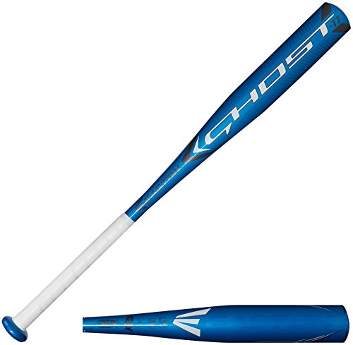 10 Best Asa Approved Fastpitch Softball Bats