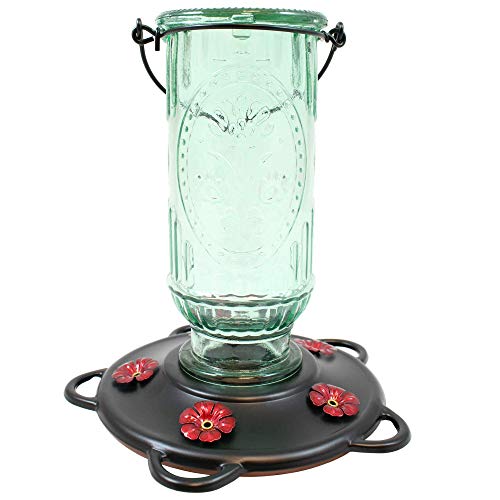 More Birds Vintage Hummingbird Feeder, Antique Glass Bottle, 5 Feeding Ports and 20-Ounce Nectar Capacity