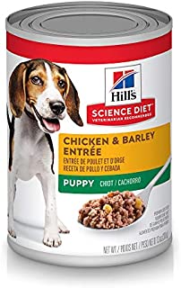 Hill's Science Diet Wet Dog Food, Puppy, Chicken & Barley Recipe, 13 oz Cans, 12-pack