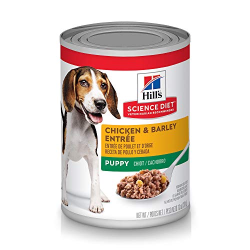10 Best Puppy Food For Upset Stomach
